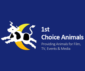 1st Choice Animals, logo and strapline
