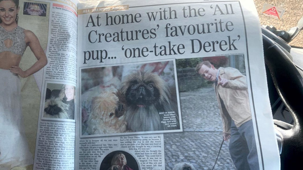 1st Choice Animals, All Creatures favourite pup newspaper article