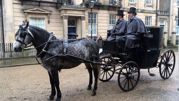 1st Choice Animals, horse and carriage hire for funeral