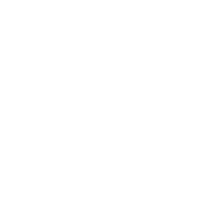 horse line icon